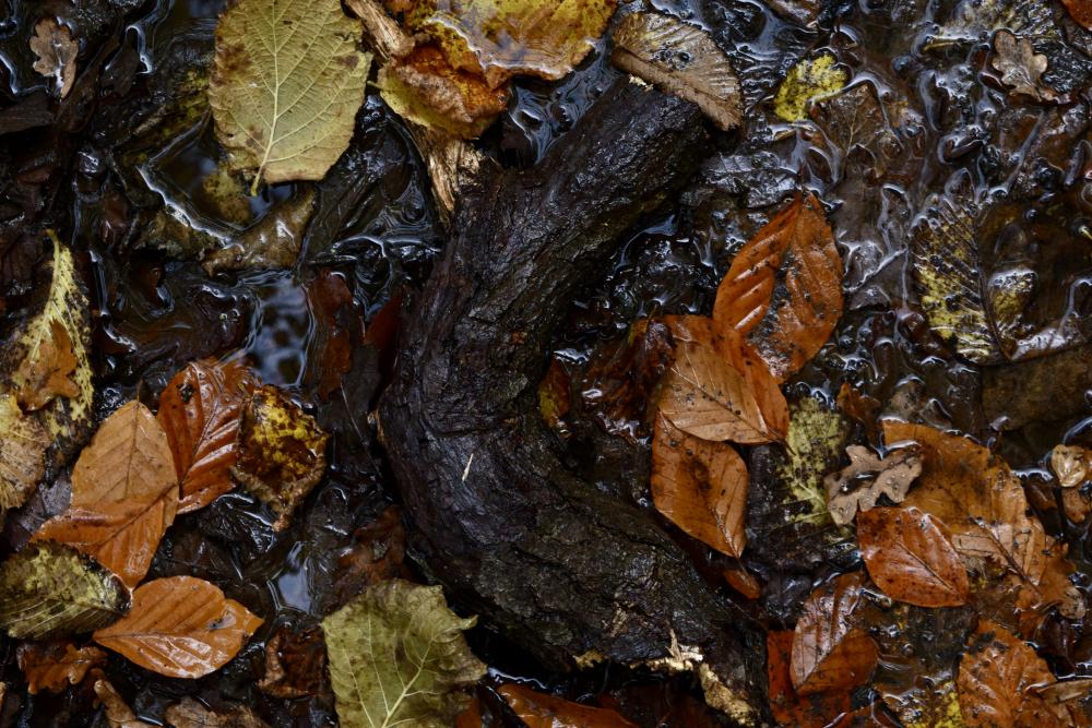 Adieu to the Past: A Journey into Emotional Farewells