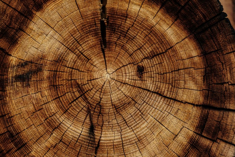 Why it Pays for a Business to be Innovative